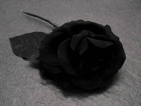 Haarschmuck und Brosche - Rose schwarz Textil - opulent
