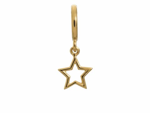 Endless 53204 - Star - Gelbgold charms