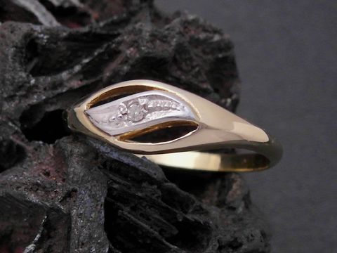 Gold Ring - faszinierend - Gold 333 bicolor - Diamant - Goldring - Gr. 56