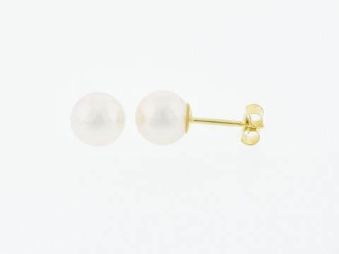 Gold Perlen Ohrringe - 333 Gold - 7 mm - Swasser Zuchtperle