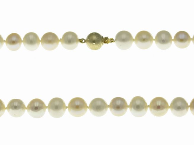 Perlenkette 45 cm - mehrfarbig - Swasser Zuchtperlen