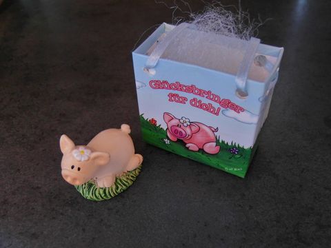 Schweinchen - Glcksschweinchen mit Geschenktasche - liegend