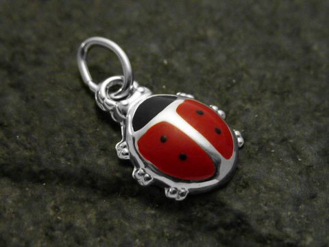 Marienkäfer emaillierter Sterling Silber Anhänger für Kinder, hergestellt von Juwelier Harnisch, detailreich gestaltet mit roten und schwarzen Farben, ideal als Schmuckstück für Kinder.