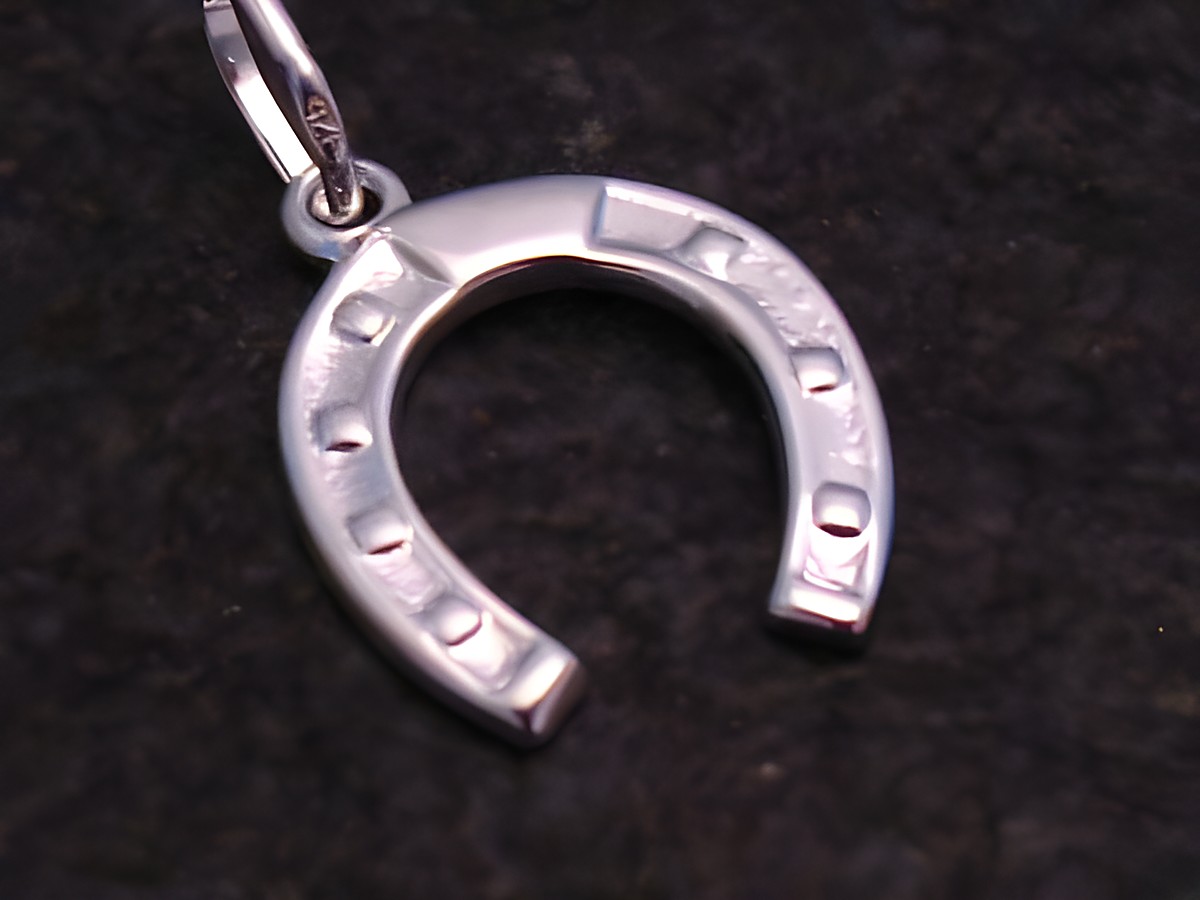 Hufeisen Anhänger aus Sterling Silber von Juwelier Harnisch als Glücksbringer, filigran gearbeitet und ansprechendes Design für positive Energie und Schutz.