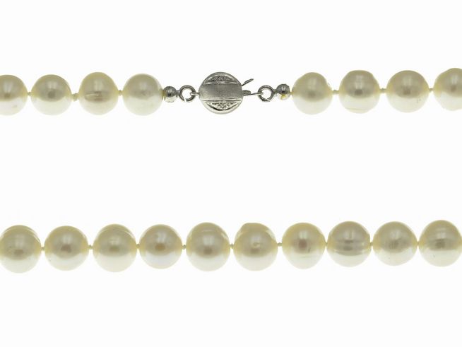 Perlenkette 43 cm aus weißen Süßwasser Zuchtperlen mit einem Verschluss aus Weißgold, ideal für elegante Anlässe oder als modisches Accessoire. Hochwertige Verarbeitung vom Juwelier Harnisch.