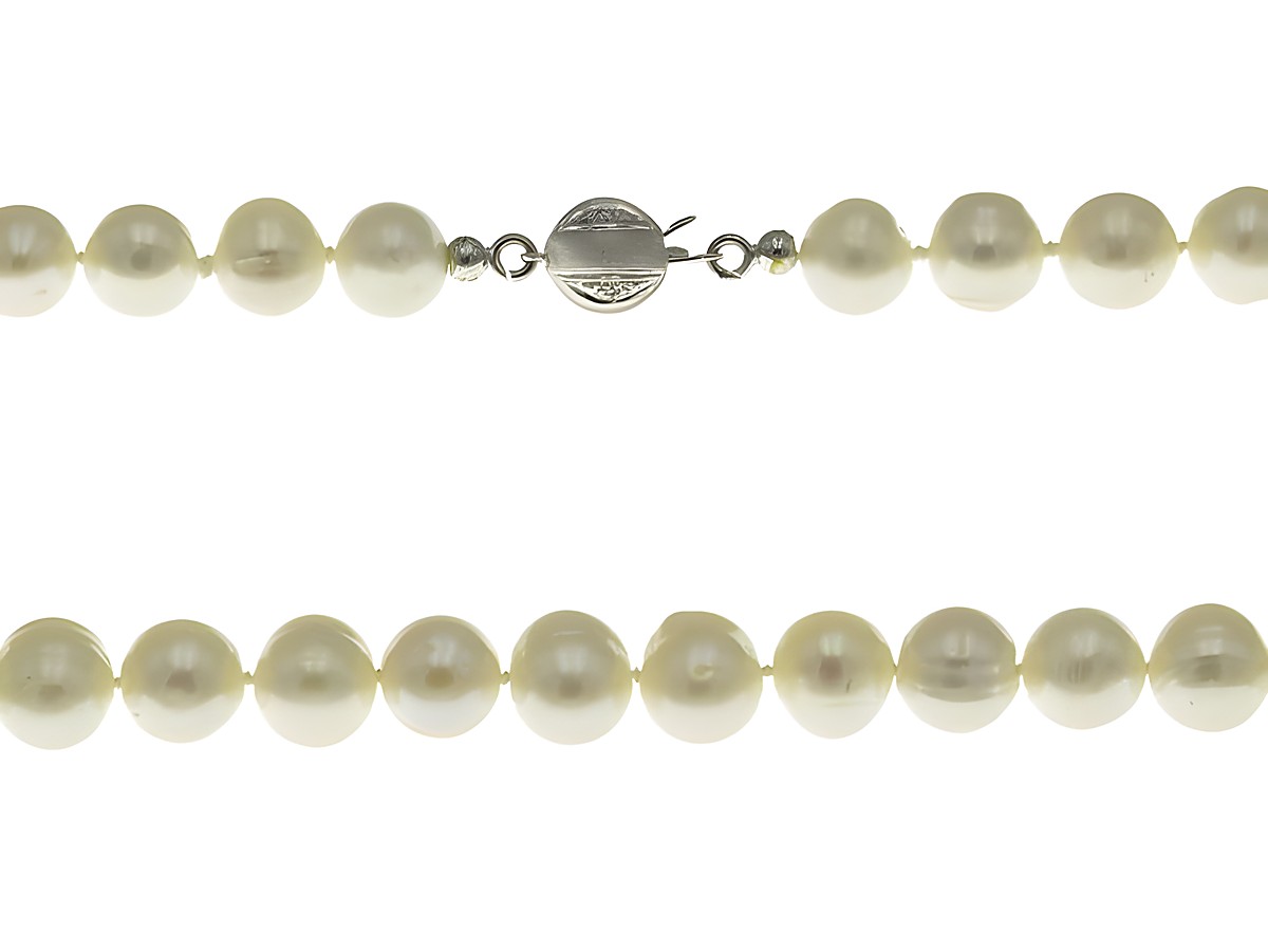 Perlenkette 43 cm aus weißen Süßwasser Zuchtperlen mit einem Verschluss aus Weißgold, ideal für elegante Anlässe oder als modisches Accessoire. Hochwertige Verarbeitung vom Juwelier Harnisch.
