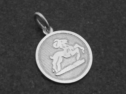 Silber Anhänger rund 3D mit dem Sternzeichen Widder, präsentiert von Juwelier Harnisch, detailreiche Darstellung eines Widders auf strukturiertem Hintergrund.