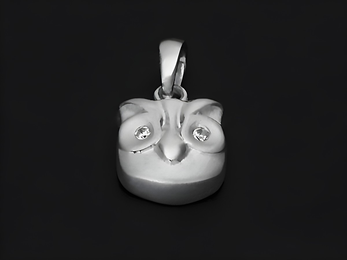 Eule Anhänger aus 925 Sterling Silber rhodiniert mit Zirkonia, teilmattiert, gefertigt von Juwelier Harnisch, ideal für Tierliebhaber und Schmuckenthusiasten.
