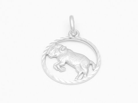 Der Anhänger aus Weißgold 333 zeigt im Innenkreis ein diamantiertes Widder-Motiv, perfekt verarbeitet vom Juwelier Harnisch, symbolisch für das Sternzeichen Widder.