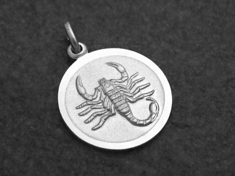 925 Sterling Silber Anhänger mit einem Runddesign, der ein detailliertes Skorpion-Motiv zeigt, hergestellt von Juwelier Harnisch, ideal für Skorpion-Geborene.