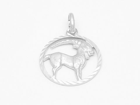 Ein edler Anhänger aus Weißgold 333, diamantiert, zeigt das Steinbock-Sternzeichen mit kunstvoll geformtem Steinbock im kreisförmigen Rahmen. Hergestellt von Juwelier Harnisch.