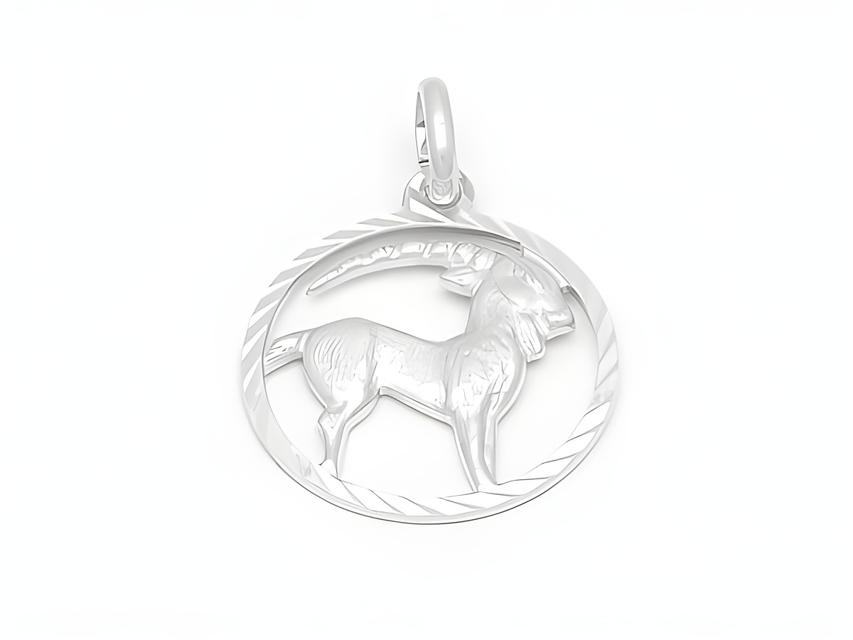 Ein edler Anhänger aus Weißgold 333, diamantiert, zeigt das Steinbock-Sternzeichen mit kunstvoll geformtem Steinbock im kreisförmigen Rahmen. Hergestellt von Juwelier Harnisch.