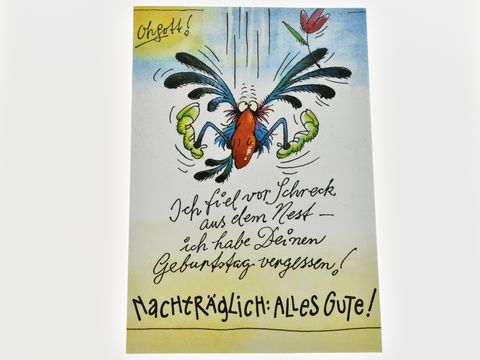 Eine bunte Geburtstagskarte zeigt einen zerzausten Vogel, der erschrocken aus einem Nest fliegt. Darunter steht der Text Ich fiel vor Schreck aus dem Nest – ich habe deinen Geburtstag vergessen! Nachträglich alles Gute!
