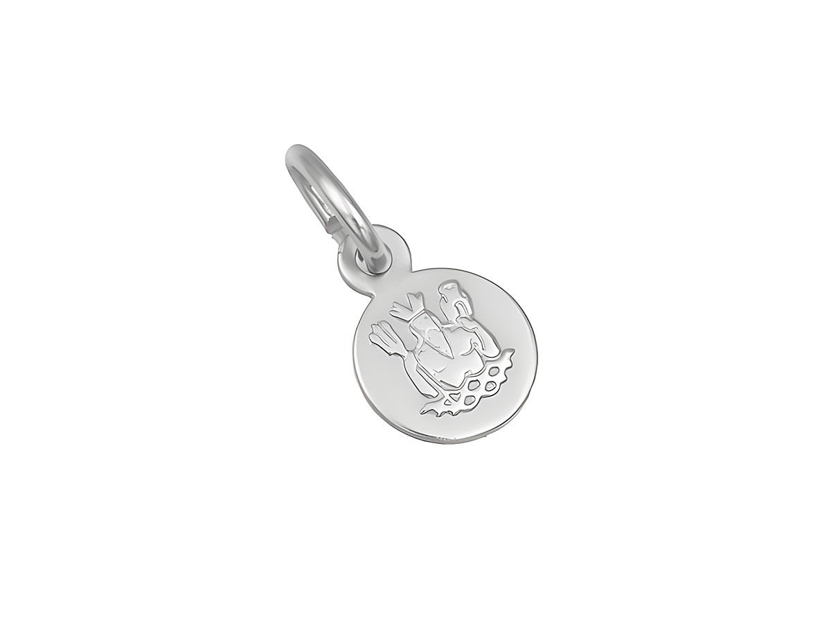 Silber Anhänger mini Sternzeichen Wassermann teilmattiert rhodiniert rund mit eingraviertem Wassermann-Motiv in glänzender Optik, ideal als liebevolles Geschenk oder persönlicher Schmuck.