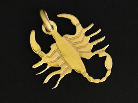 Skorpion Anhänger Gold 333, plastisch flach, Hersteller Juwelier Harnisch, für Sternzeichen Skorpion, idealer Schmuck für Krebs-Geborene, glänzende Oberfläche und detaillierte Verarbeitung.