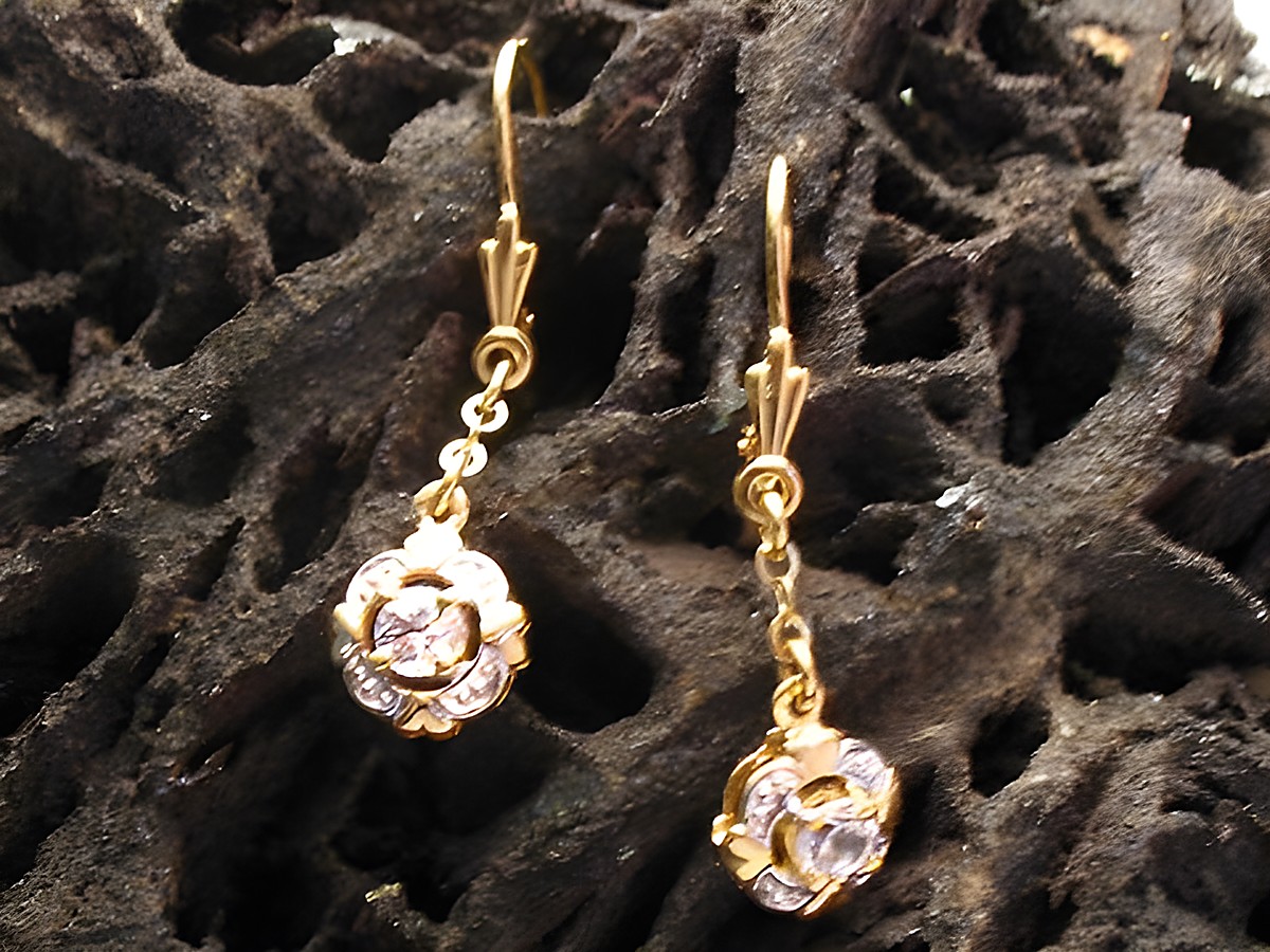 Weibliche Gold Ohrhänger mit Zirkonia und bicolor Design von Juwelier Harnisch, filigrane Ohrhänger mit Stein in Blumenform, ideal für besondere Anlässe.