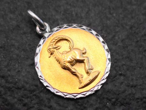 Anhänger aus Gold auf Silber mit dem Sternzeichen Steinbock, Hersteller Juwelier Harnisch, zeigt eine detaillierte Darstellung eines Steinbocks auf goldenem Grund.