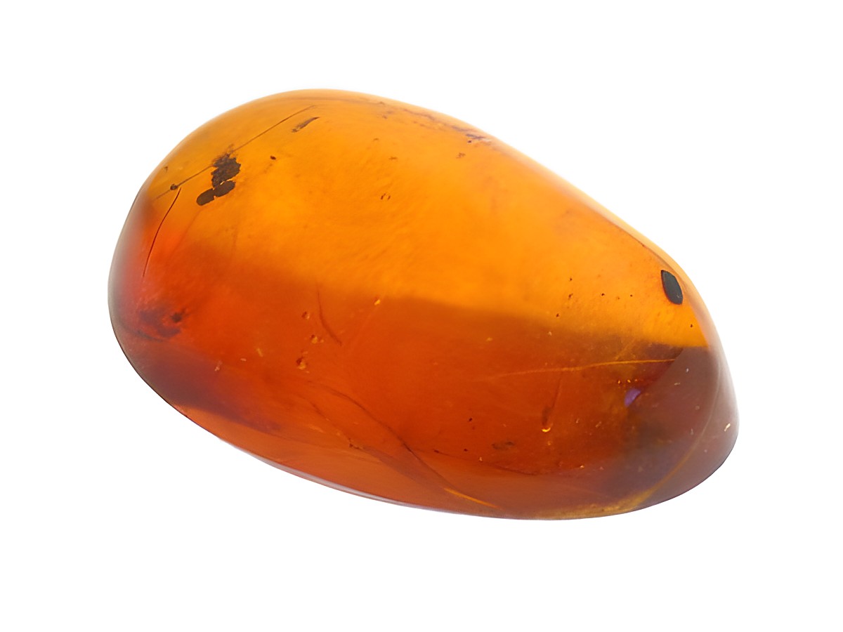 Bernstein Biene mit glatter, orange-brauner Oberfläche und natürlichen Einschlüssen, hochwertiges Sammlerstück des Herstellers Juwelier Harnisch, ideal für Sammler und Liebhaber von Bernsteinen.