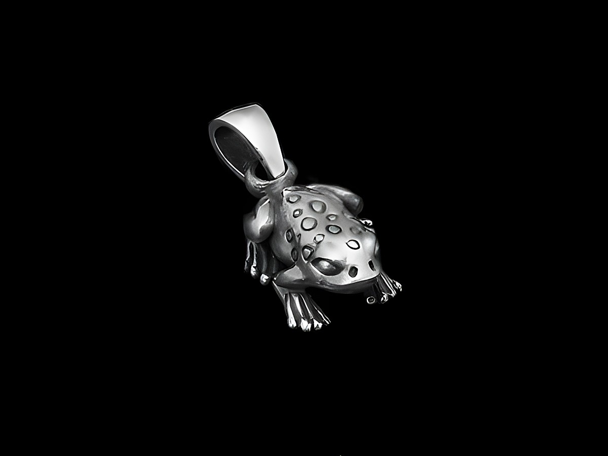 Frosch Anhänger aus 925 Sterling Silber mit detaillierter Ausarbeitung, ideal für Tierliebhaber, Hersteller Juwelier Harnisch, einzigartiges Schmuckstück.