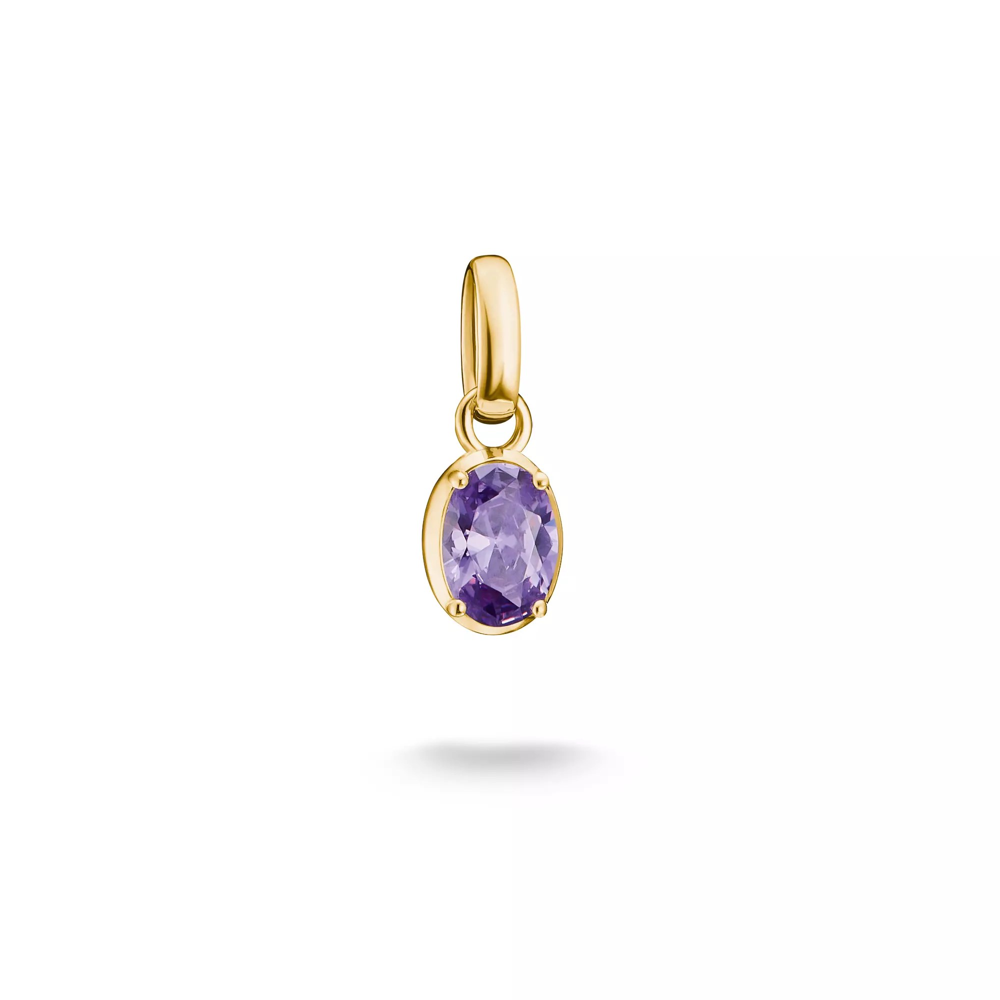 Thomas Sabo Connect - Charm Geburtsstein Februar - 18k Gelbgold Vergoldung - Zirkonia amethystfarben - Charm mit Öse – Ansicht 2