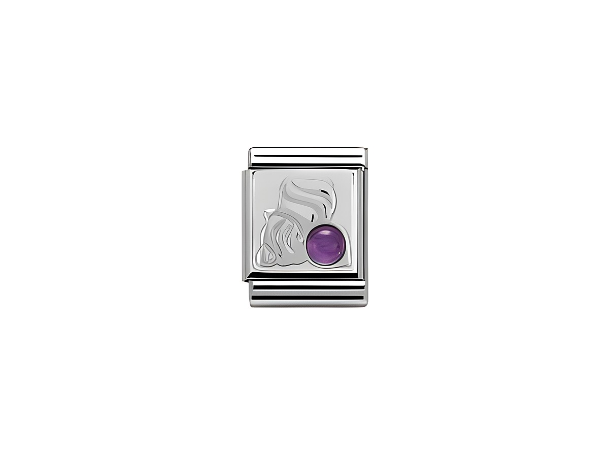Sternzeichen Wassermann Charm von Nomination BIG aus Sterling Silber mit einer gravierten Wassermann-Symbolik und einem lila Stein, ideal für die persönliche Schmuckkollektion.