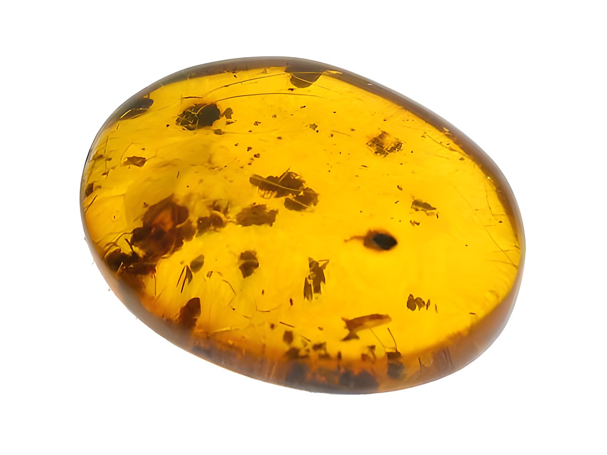 Ein schönes Stück Bernstein mit eingelagerten Ameisen, hergestellt von Juwelier Harnisch. Das Sammelstück zeigt die typische goldene Farbe und unregelmäßige Einschlüsse.