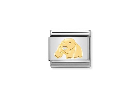 Ein elegantes Charm aus Edelstahl mit goldfarbigem Motiv eines irischen Setters, perfekt für Hundeliebhaber, Hersteller Nomination. Ideal für Schmuckliebhaber und Tierfreunde.