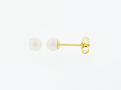 Gold Perlen Ohrringe 333 Gold 4,3 mm Süßwasser Zuchtperle von Juwelier Harnisch zeitlos elegant und perfekt für jeden Anlass.