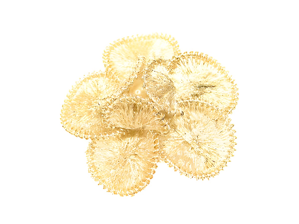 Filigrane City Brosche Handarbeit 34x34 mm in Form einer Blume, glänzende goldene Elemente, hergestellt von Juwelier Harnisch, idealer Modeschmuck für besondere Anlässe.