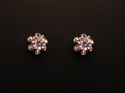 Ohrringe Blume aus Weißgold 333 mit Zirkonia, zeitloses Design, Hersteller Juwelier Harnisch, elegant und hochwertig verarbeitet. Ideal für jeden Anlass.