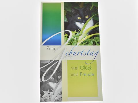 Geburtstagskarte mit einem süßen Kätzchen im grünen Hintergrund, dekorative Schriftzüge mit den Worten zum Geburtstag, viel Glück und Freude, Hersteller Juwelier Harnisch, Geburtstagskarten.