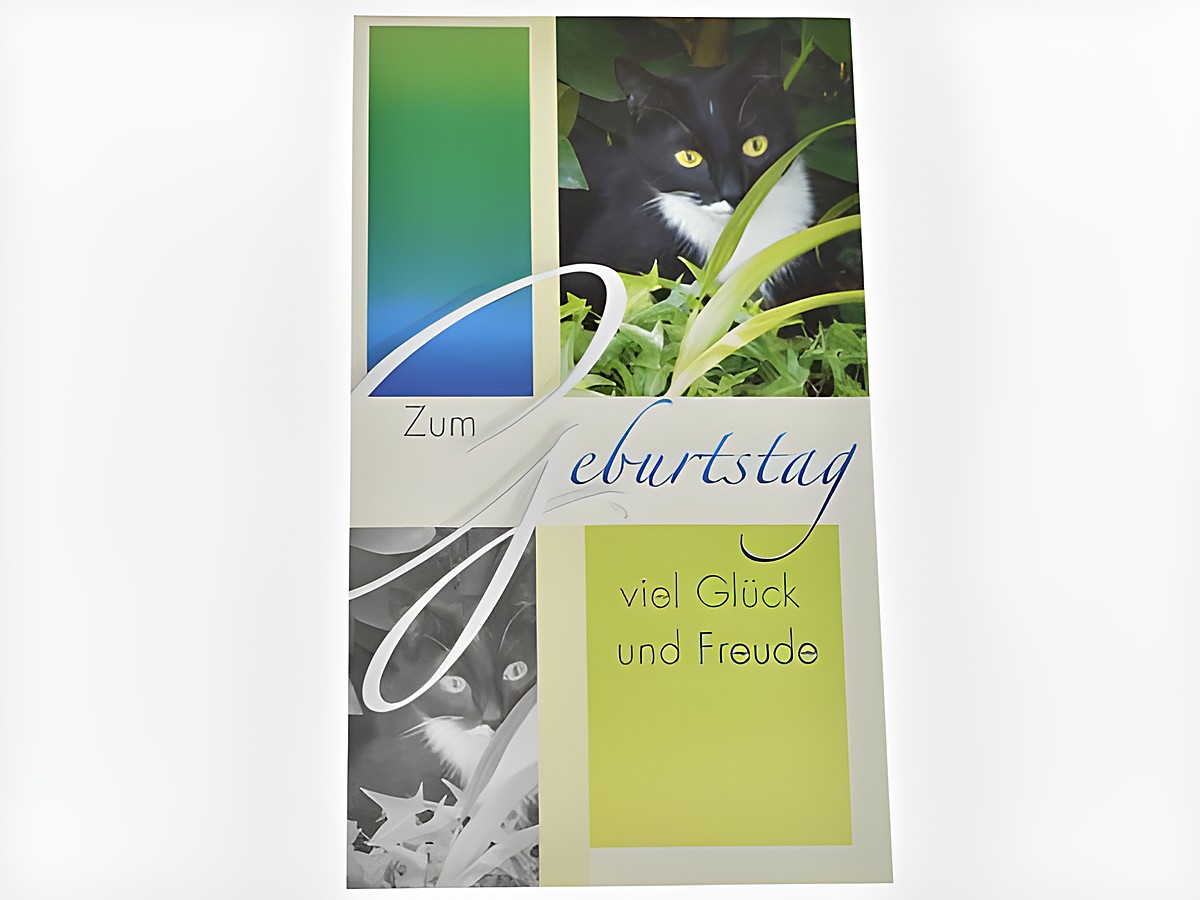 Geburtstagskarte mit einem süßen Kätzchen im grünen Hintergrund, dekorative Schriftzüge mit den Worten zum Geburtstag, viel Glück und Freude, Hersteller Juwelier Harnisch, Geburtstagskarten.