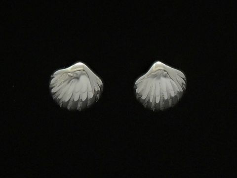 Muschel Sterling Silber Ohrstecker poliert maritim vom Hersteller Juwelier Harnisch ohne Stein. Die Ohrstecker haben eine elegante Form und strahlen maritime Eleganz aus.