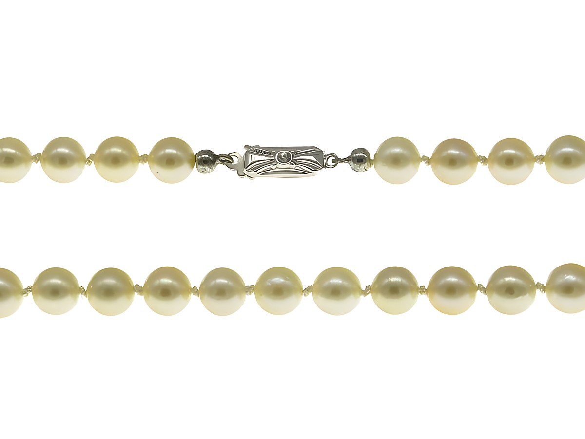 Perlenkette aus Akoya-Zuchtperlen in Creme und Champagner, 6,7-7 mm, Länge 50 cm, mit Silberverschluss, klassisches Design vom Juwelier Harnisch.