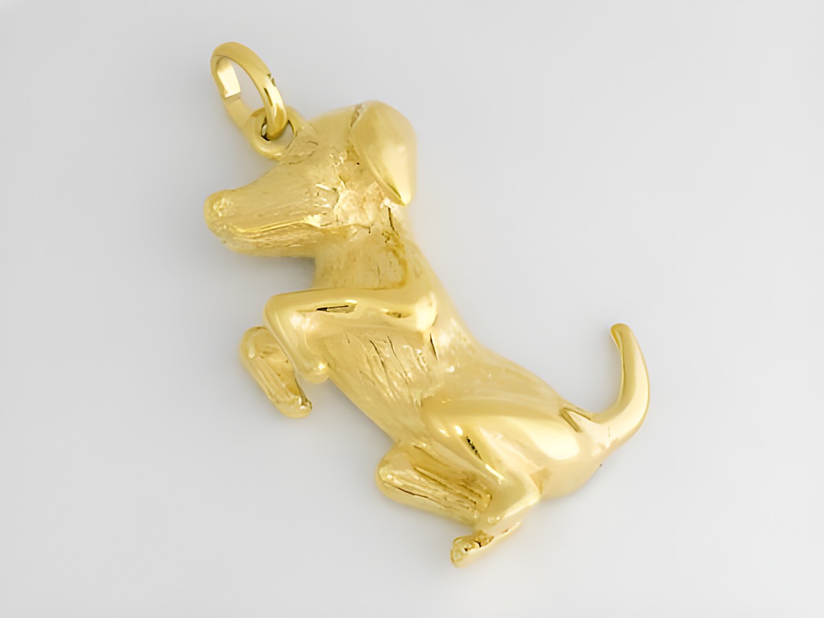 Gold Anhänger in Form eines Dackels aus Gold 333, Hersteller: Juwelier Harnisch, ideal für Tierliebhaber und als besondere Geschenkidee.