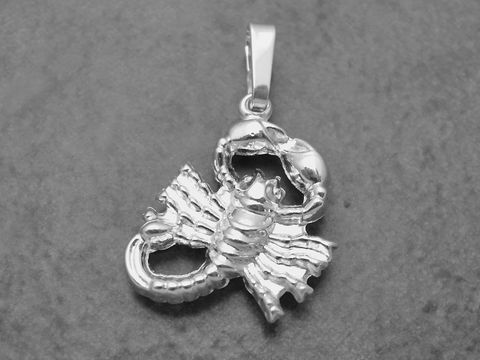 Hergestellt aus rhodiniertem Sterling Silber zeigt der Anhänger das plakative Zeichen des Sternzeichens Skorpion, kunstvoll und detailreich gestaltet, ideal für jeden Schmuckliebhaber.
