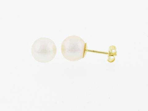 Gold Perlen Ohrringe aus 333 Gold mit 8 mm Süßwasser Zuchtperlen, gefertigt von Juwelier Harnisch, elegant und zeitlos, ideal für besondere Anlässe oder den Alltag.