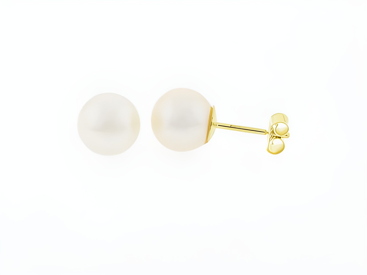 Gold Perlen Ohrringe aus 333 Gold mit 8 mm Süßwasser Zuchtperlen, gefertigt von Juwelier Harnisch, elegant und zeitlos, ideal für besondere Anlässe oder den Alltag.