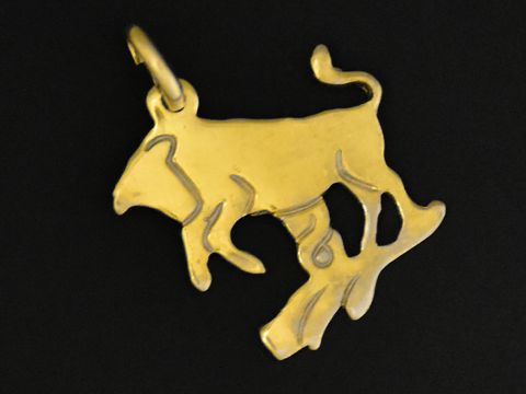 Stier Anhänger aus Gold 333, plastisch flach gestaltet, symbolisiert das Sternzeichen Stier, hergestellt von Juwelier Harnisch.