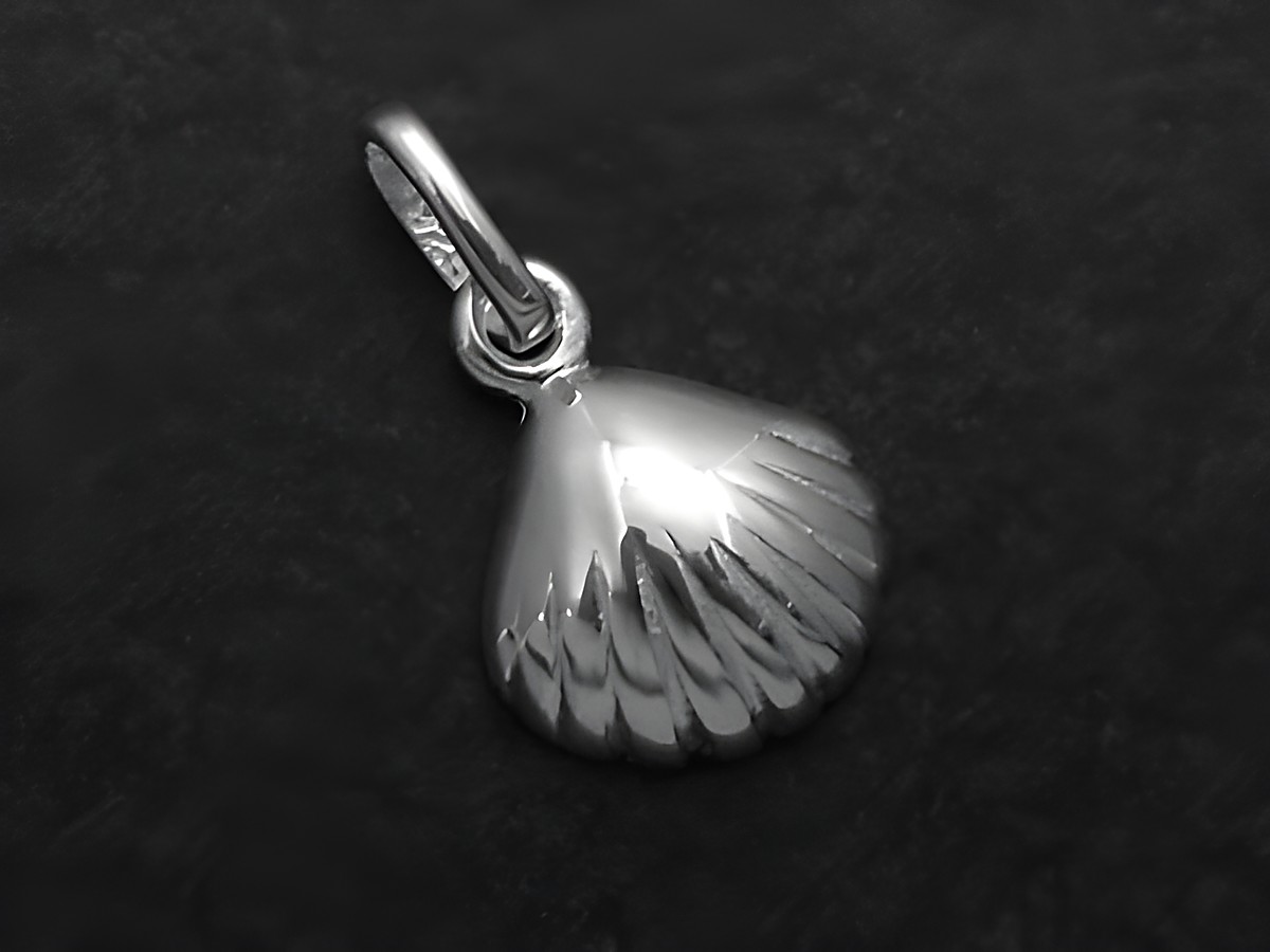 Polierter Muschel Anhänger aus Sterling Silber, maritim und elegant, gefertigt vom Juwelier Harnisch, ideal für Liebhaber der Seefahrt und maritimen Schmuck.
