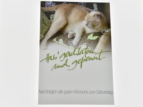 Geburtstagskarte mit einer schlafenden Katze auf einem Kissen, umgeben von buntem Stoff. Hersteller: Juwelier Harnisch. Anlass: Geburtstagswünsche.