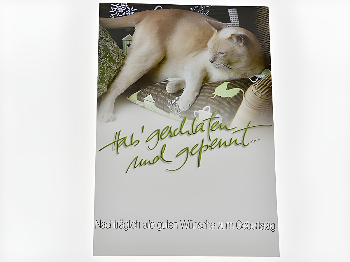 Geburtstagskarte mit einer schlafenden Katze auf einem Kissen, umgeben von buntem Stoff. Hersteller: Juwelier Harnisch. Anlass: Geburtstagswünsche.