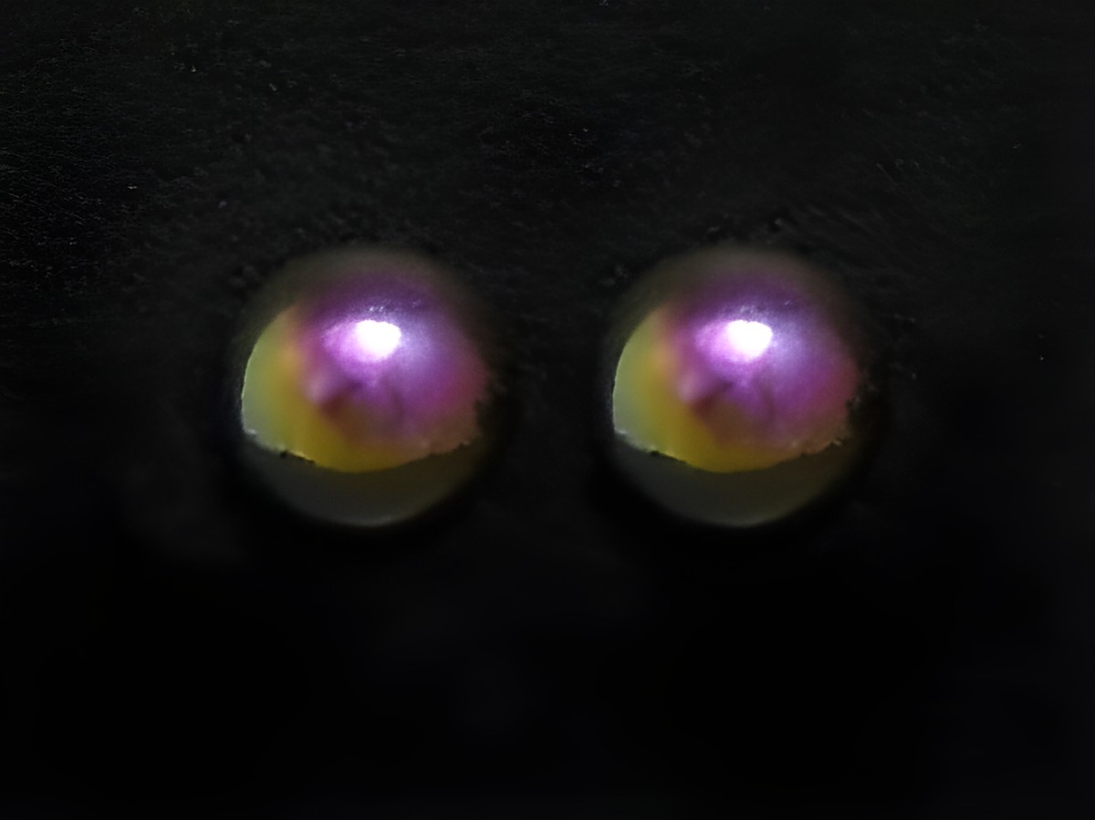 Bunte Edelstahl Ohrstecker in 5 mm Durchmesser mit schimmerndem Regenbogen-Farben, hergestellt von Juwelier Harnisch. Ideal für jeden Anlass und ein trendvolles Accessoire.
