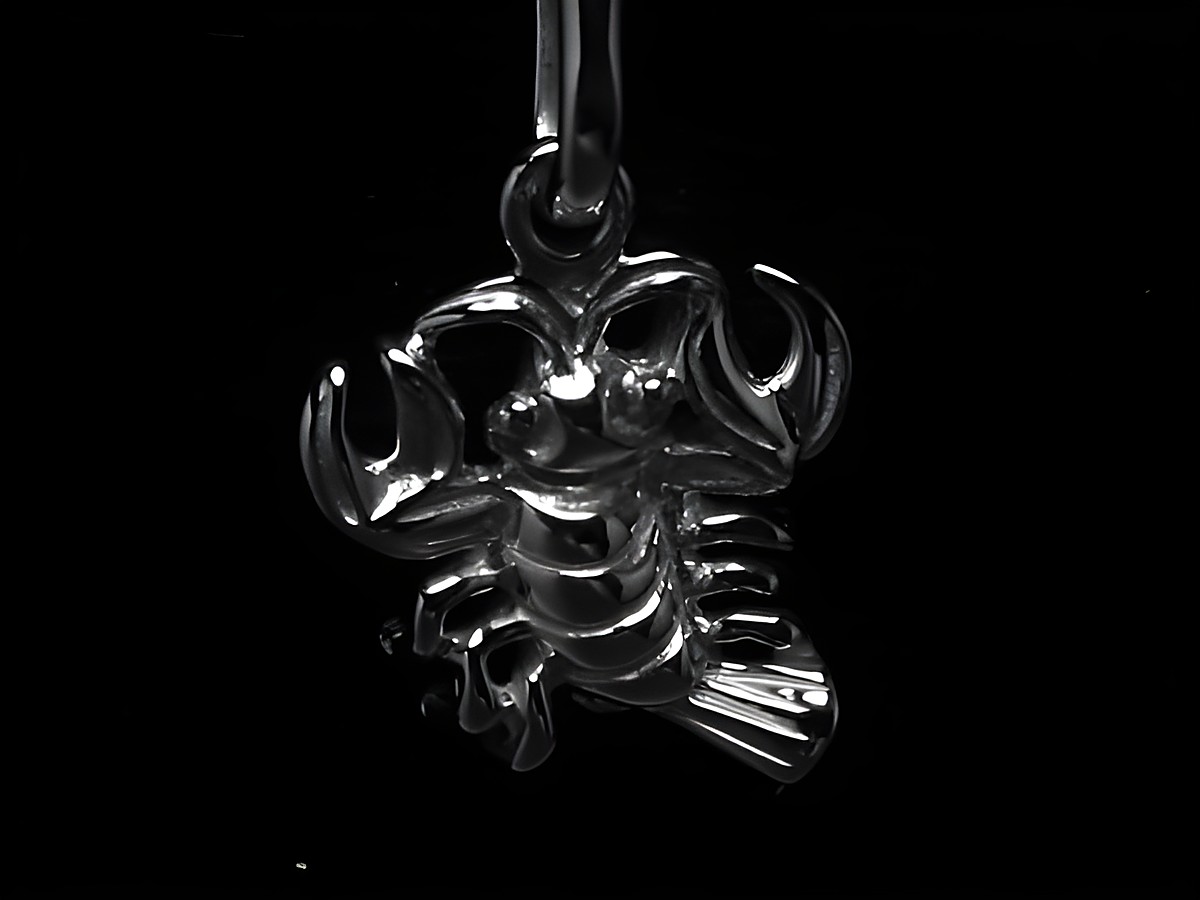 Krebs Anhänger aus poliertem 925 Sterling Silber, gefertigt von Juwelier Harnisch, zeigt detailreiche Ausführung des Sternzeichens Krebs. Ideal für Sternzeichenliebhaber.