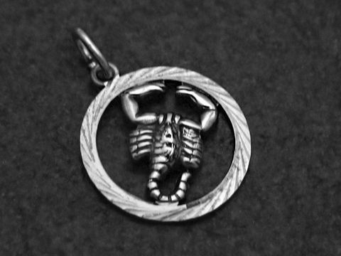 Silberanhänger mit plastischem Skorpion im runden, geschliffenen Rahmen, hergestellt von Juwelier Harnisch, Symbol für das Sternzeichen Skorpion.