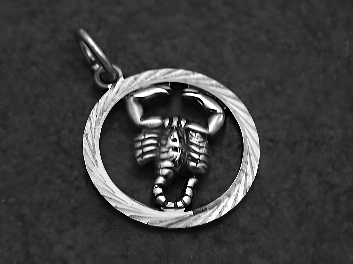 Silberanhänger mit plastischem Skorpion im runden, geschliffenen Rahmen, hergestellt von Juwelier Harnisch, Symbol für das Sternzeichen Skorpion.