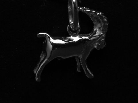 Der Anhänger aus 925 Sterling Silber zeigt das polierte Sternzeichen Steinbock in detailreicher Darstellung, hergestellt von Juwelier Harnisch.
