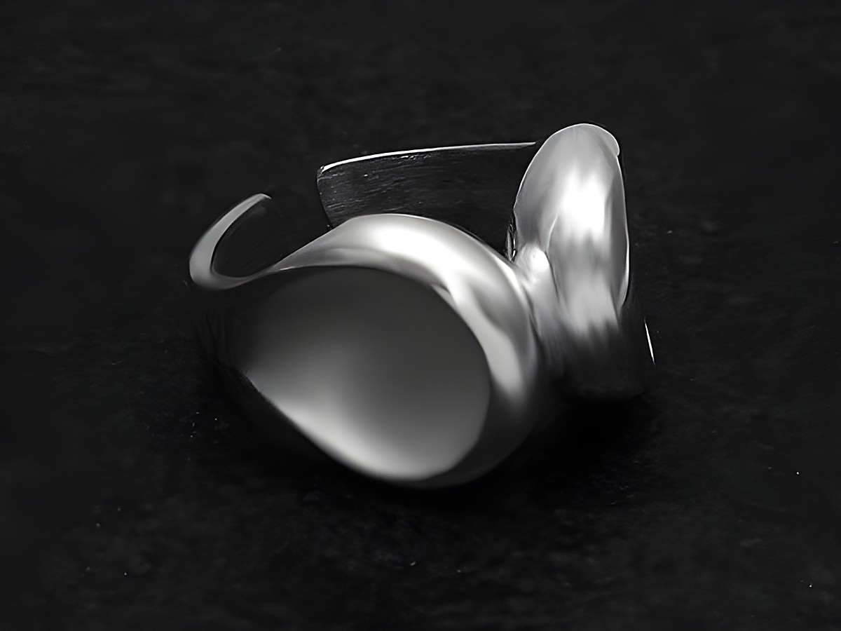 Silberring mit organischem Design, Größe wenig verstellbar, Hersteller Juwelier Harnisch, ohne Stein. Der Ring zeigt eine fließende Form und glänzende Oberfläche.