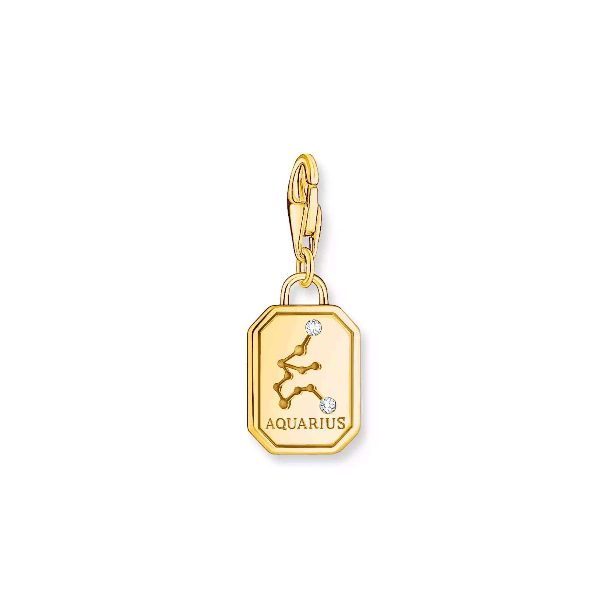 Thomas Sabo Charm-Anhänger - Sternzeichen Wassermann - Silber Gelbgold verg. & Zirkonia – Ansicht 2