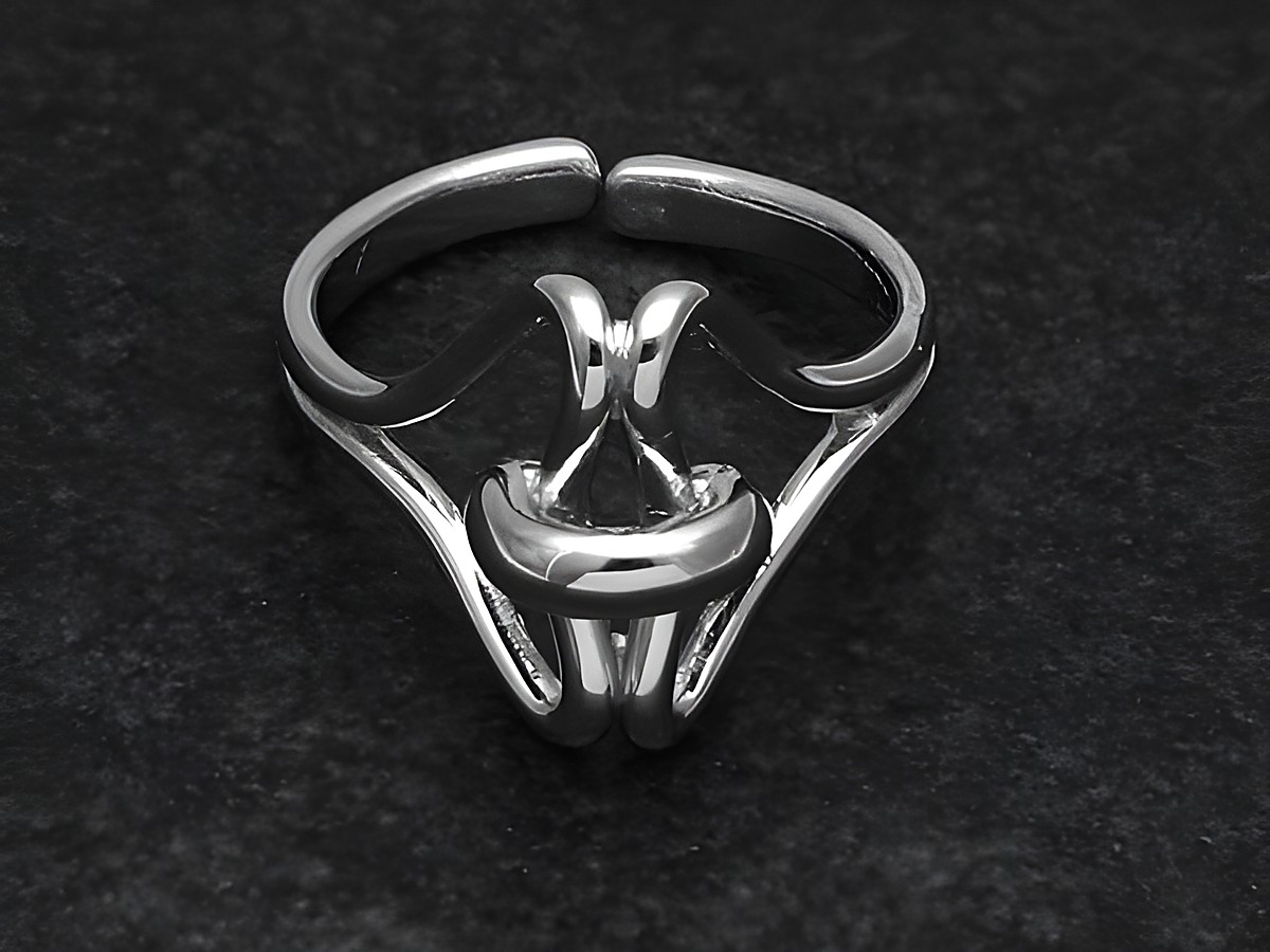 Silberring von Juwelier Harnisch, kunstvoll und wenig verstellbar, rhodiniert und ohne Stein, edles Design für stilvolle Akzente, perfekt für den Alltag oder besondere Anlässe.